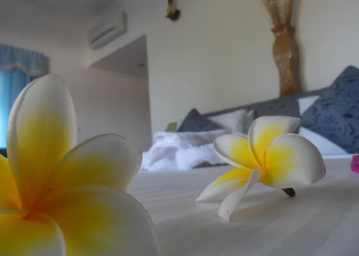 Divers Lodge Guest House Beau Vallon 